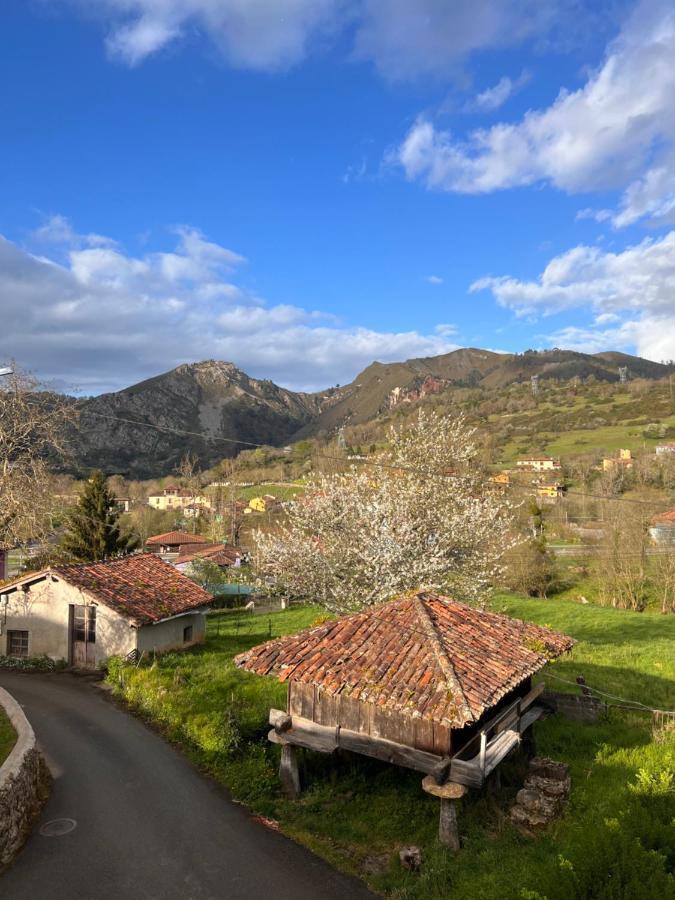 Camin De La Reina Lejlighed San Juan de Parres Eksteriør billede